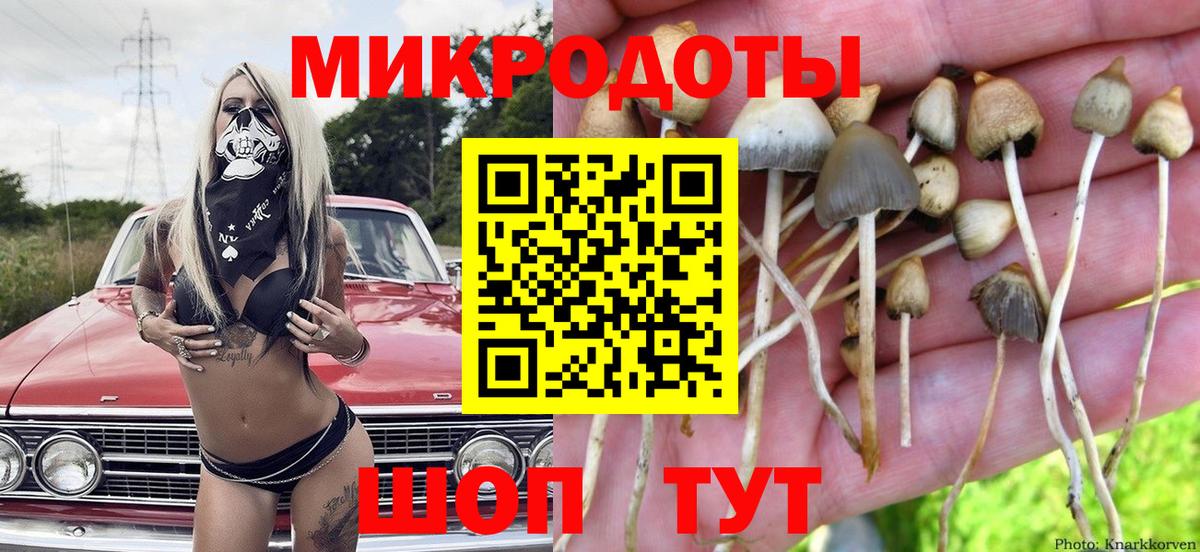 Галлюциногенные грибы мухоморы Саяногорск