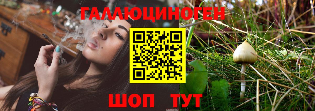продажа наркотиков  Вход с VPN  Саяногорск  Галлюциногенные грибы Psilocybe 